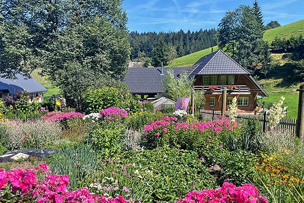 Steinbachhof - Ferienbauernhof St. Märgen Schwarzwald