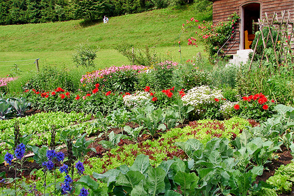 Steinbachhof - Ferienbauernhof St. Märgen Schwarzwald