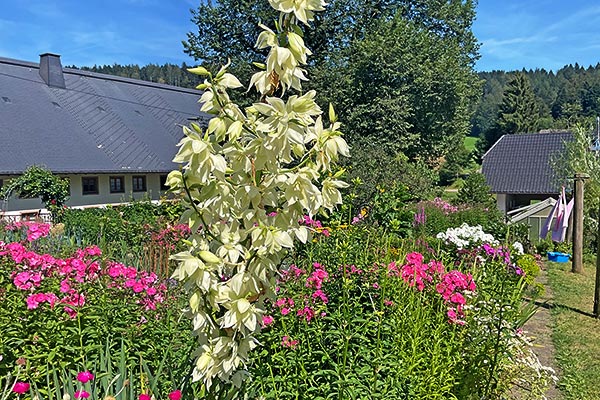 Steinbachhof - Ferienbauernhof St. Märgen Schwarzwald