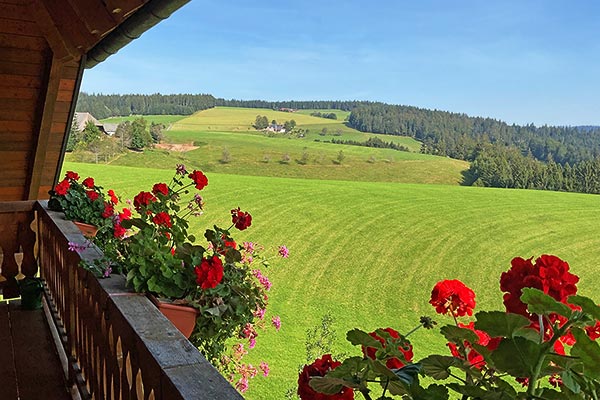 Steinbachhof - Ferienbauernhof St. Märgen Schwarzwald