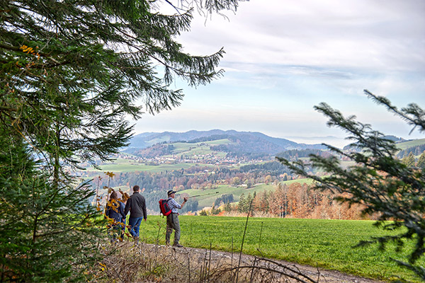 Steinbachhof - Ferienbauernhof St. Märgen Schwarzwald