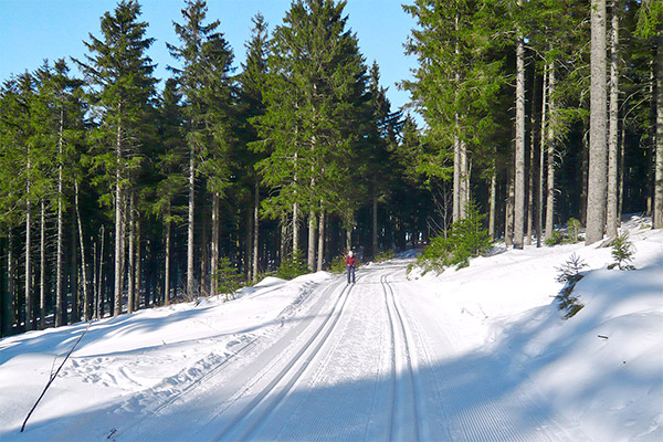 Steinbachhof - Ferienbauernhof St. Märgen Schwarzwald